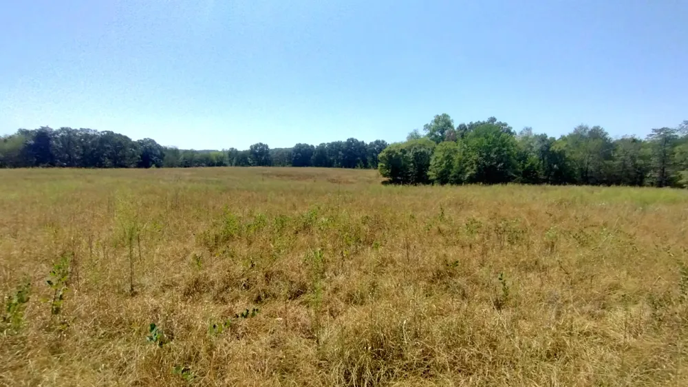 467353 W Hwy 62 Westville, OK 74965