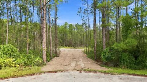 ALDER WAY