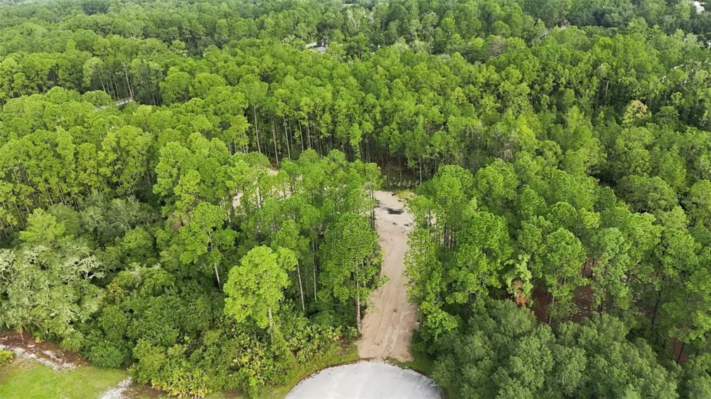 ALDER WAY Eustis, FL 32736