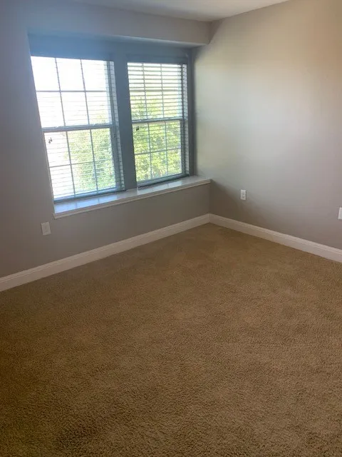 12308 Ferrystone Glen Drive Del Valle, TX 78617