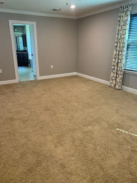12308 Ferrystone Glen Drive Del Valle, TX 78617