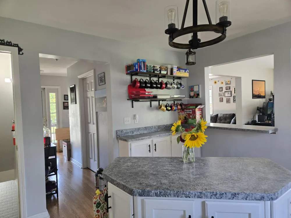 1311 Partridge Court Tecumseh, MI 49286