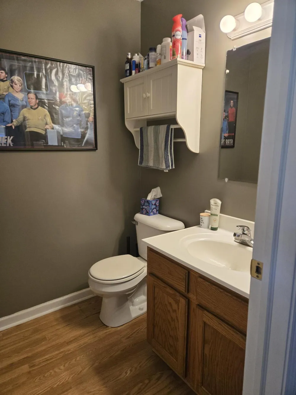 1311 Partridge Court Tecumseh, MI 49286