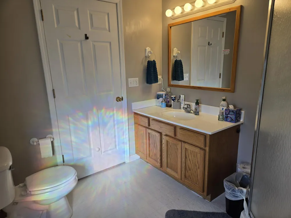 1311 Partridge Court Tecumseh, MI 49286