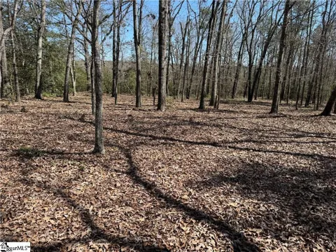 0 Golden Hickory Drive
