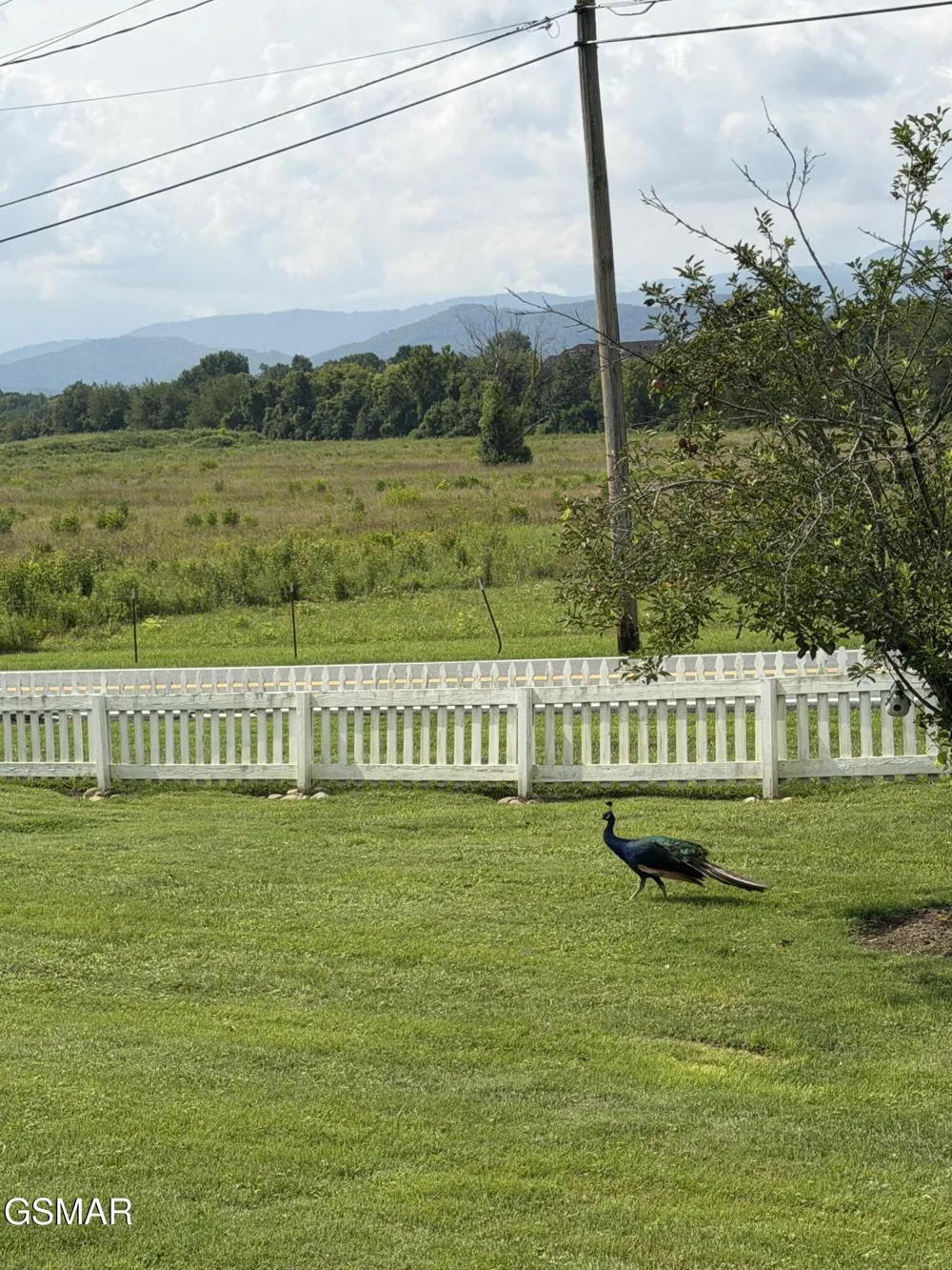 424 Country Path Way Sevierville, TN 37862
