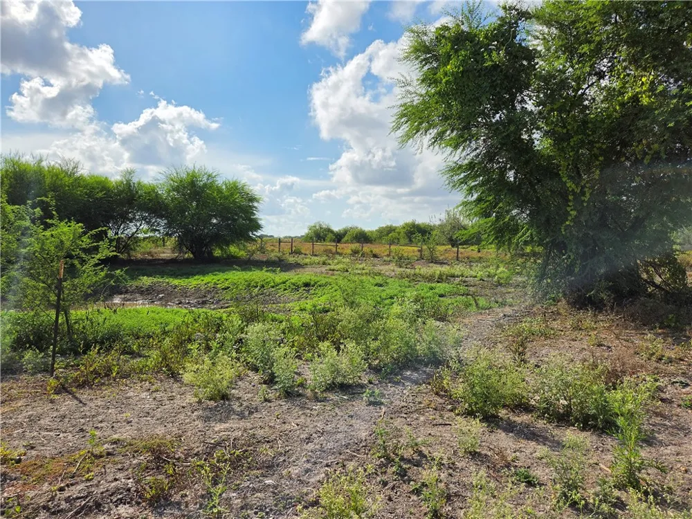 7124 County Road 2379 Sinton, TX 78387