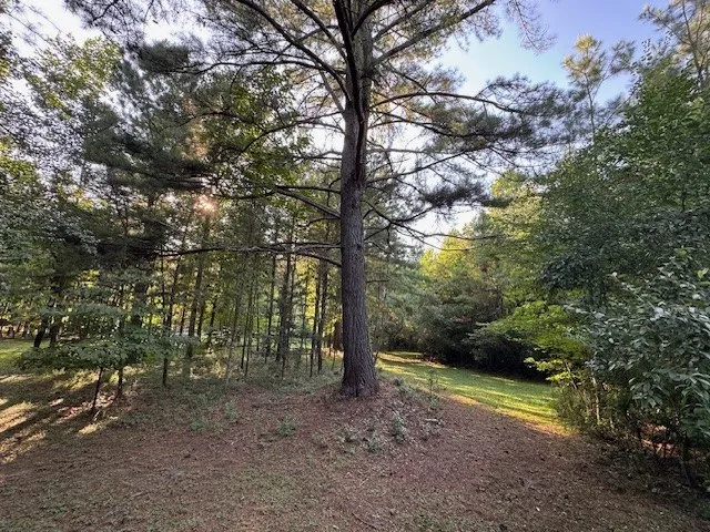 1.18 Newberry Drive Mineral Bluff, GA 30559