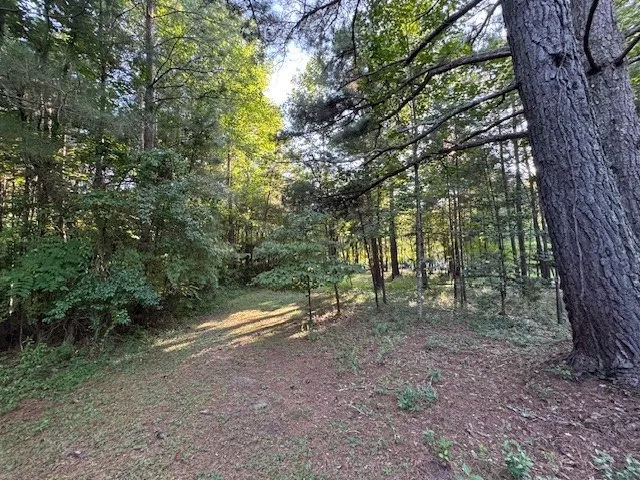 1.18 Newberry Drive Mineral Bluff, GA 30559