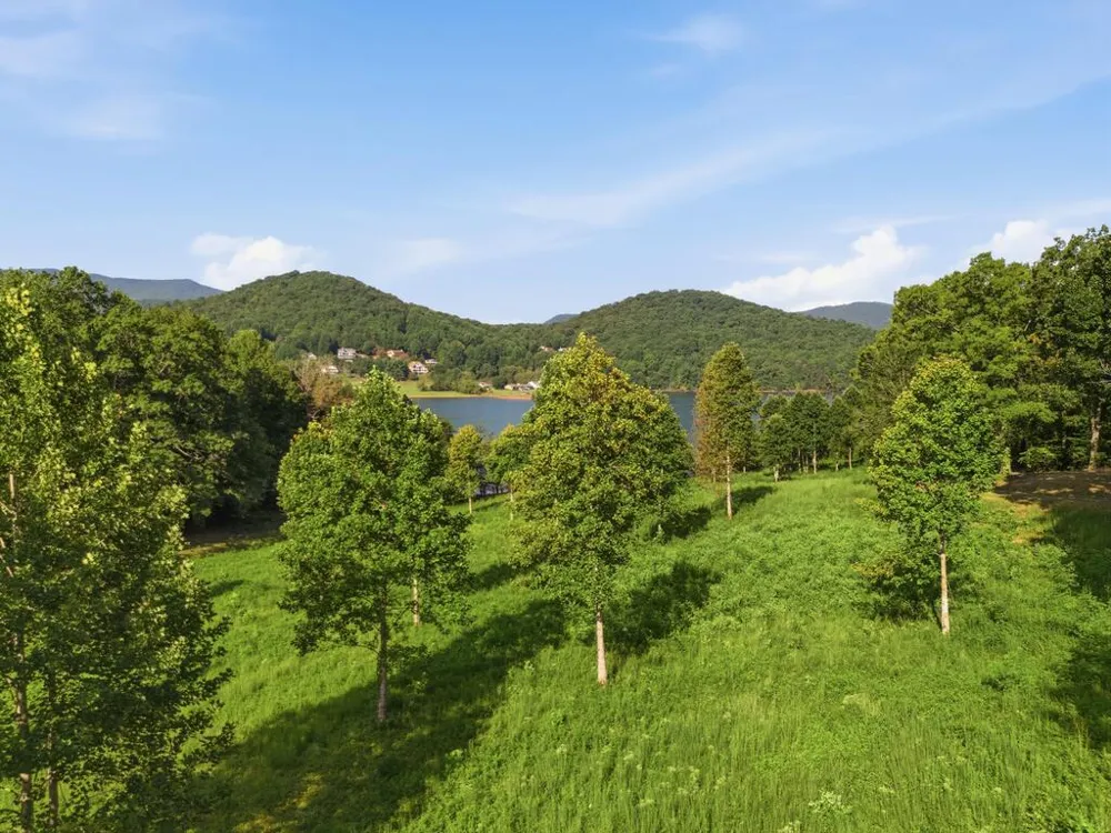 314 Lakeside Drive Hiawassee, GA 30546