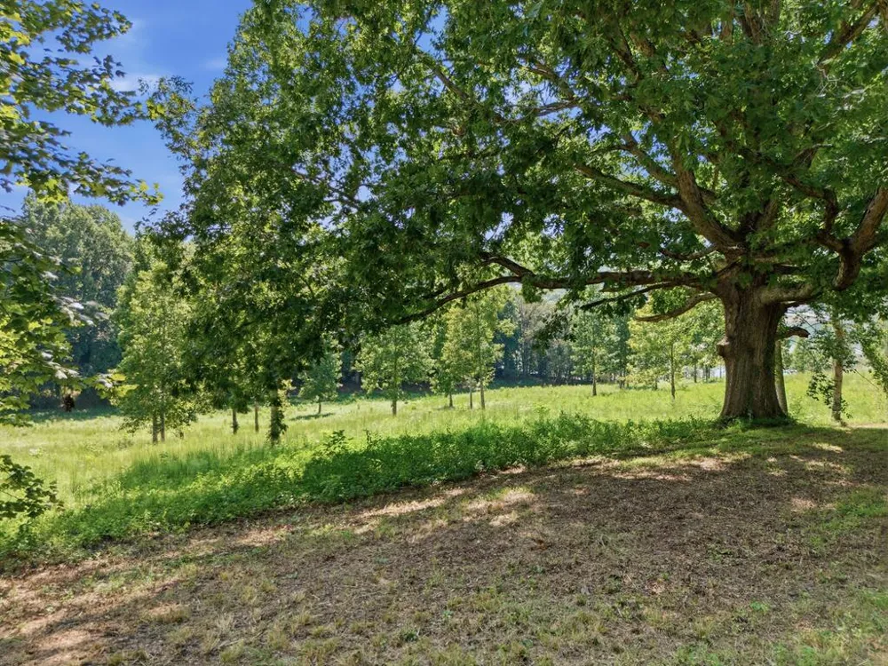 314 Lakeside Drive Hiawassee, GA 30546