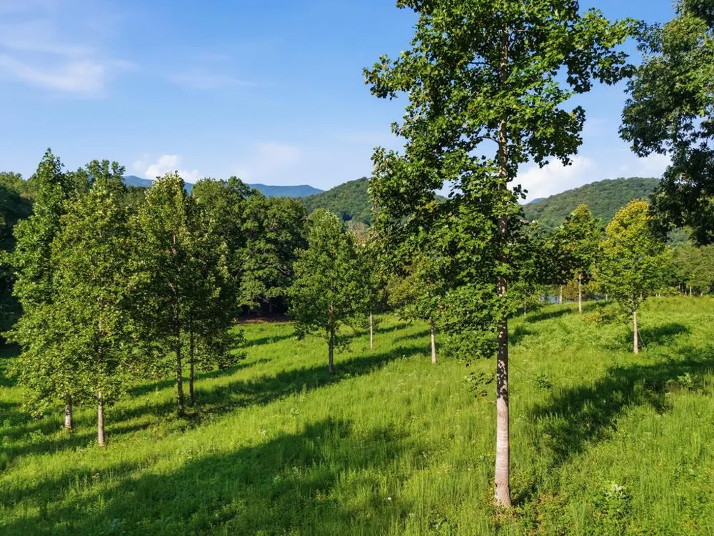 314 Lakeside Drive Hiawassee, GA 30546