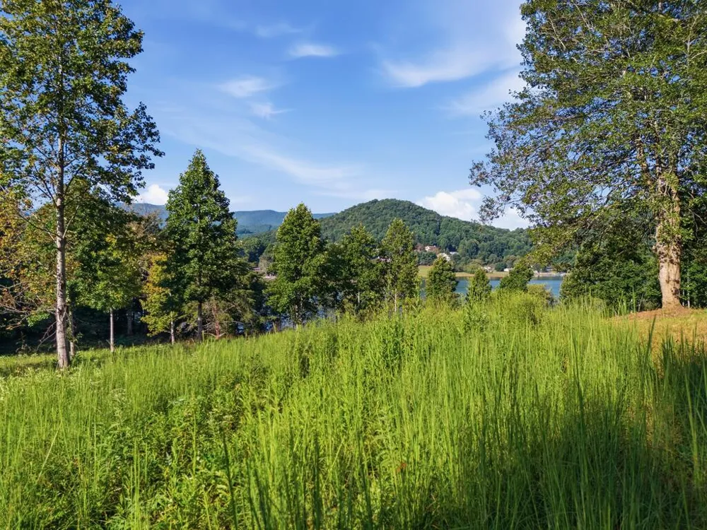314 Lakeside Drive Hiawassee, GA 30546