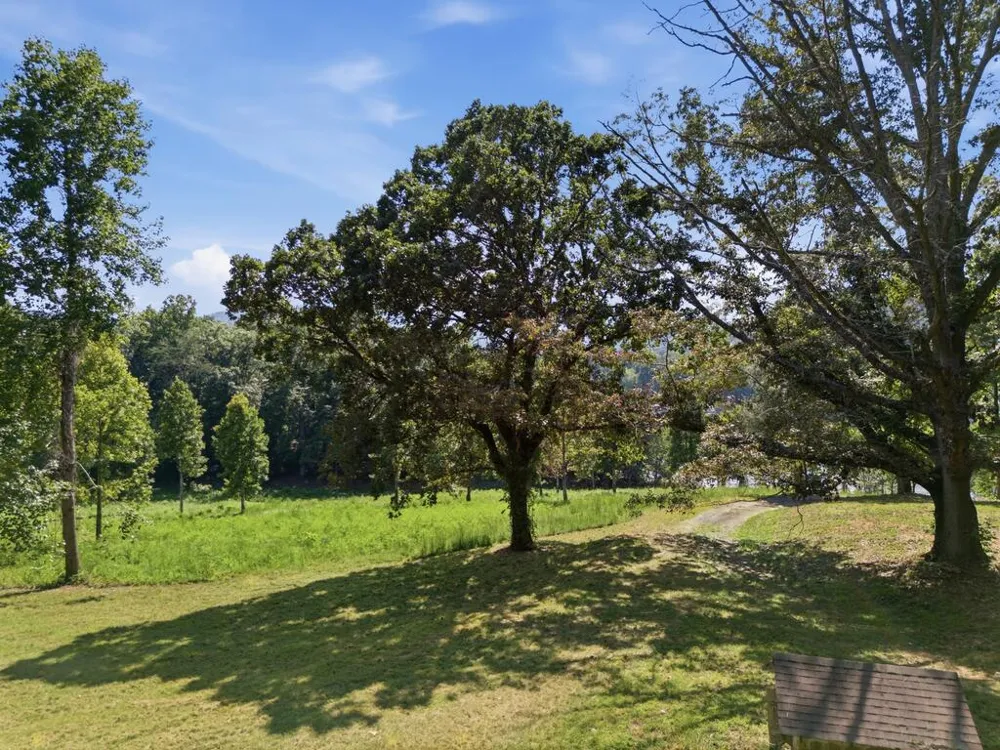 314 Lakeside Drive Hiawassee, GA 30546