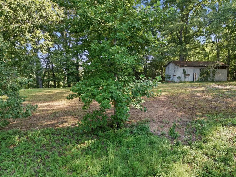 314 Lakeside Drive Hiawassee, GA 30546