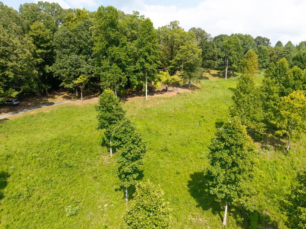 314 Lakeside Drive Hiawassee, GA 30546