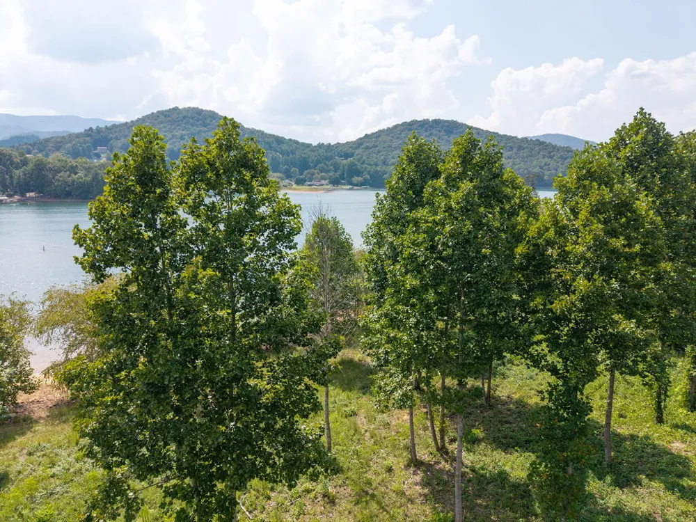 314 Lakeside Drive Hiawassee, GA 30546
