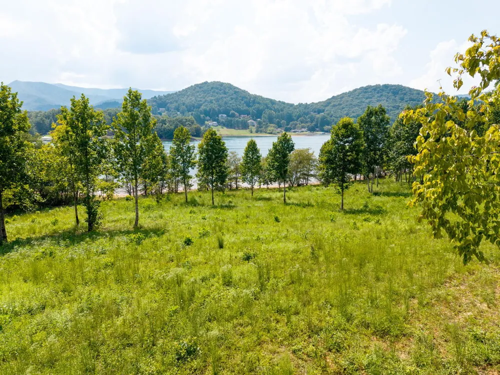 314 Lakeside Drive Hiawassee, GA 30546