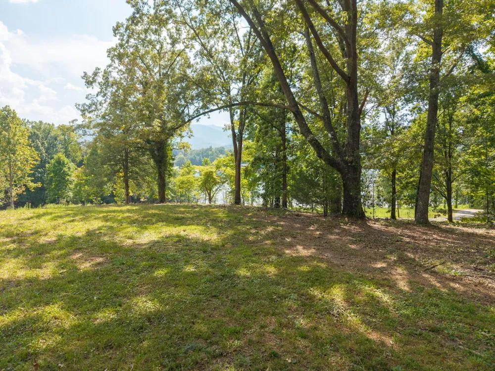314 Lakeside Drive Hiawassee, GA 30546