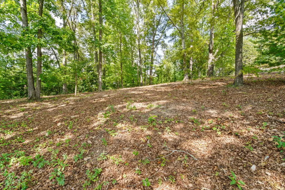 314 Lakeside Drive Hiawassee, GA 30546