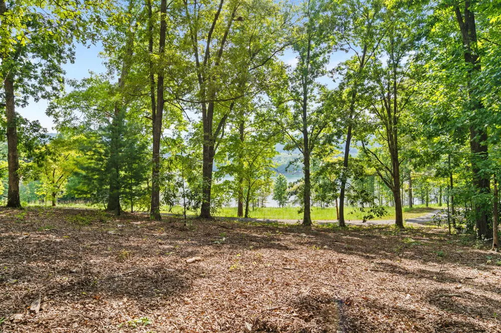 314 Lakeside Drive Hiawassee, GA 30546
