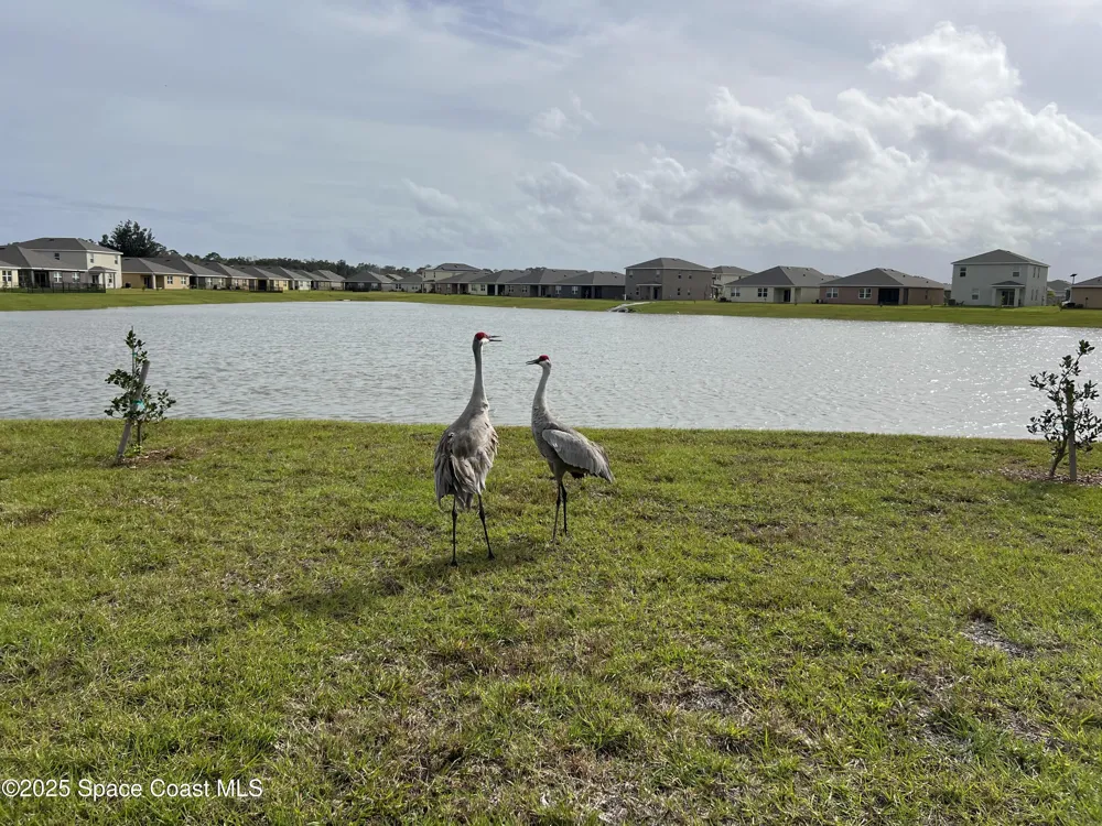 976 Trinity Street Rockledge, FL 32955