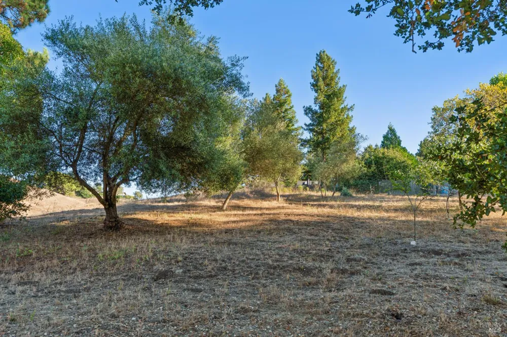 4322 Oakridge Lane Penngrove, CA 94951