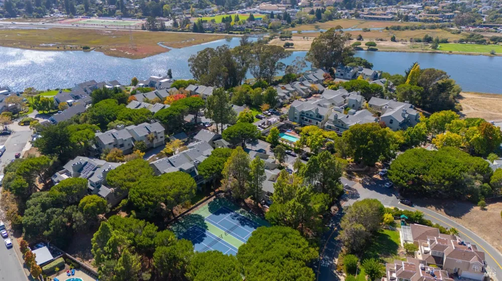 89 Eucalyptus Knoll Street Mill Valley, CA 94941