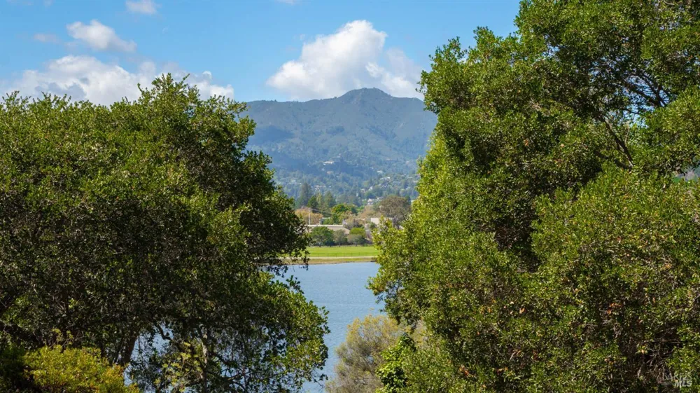 89 Eucalyptus Knoll Street Mill Valley, CA 94941