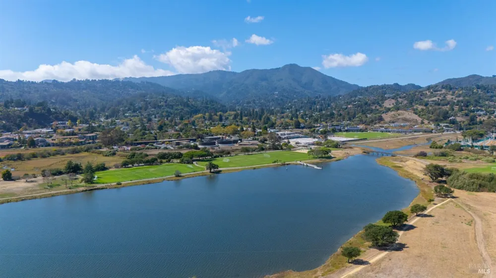 89 Eucalyptus Knoll Street Mill Valley, CA 94941