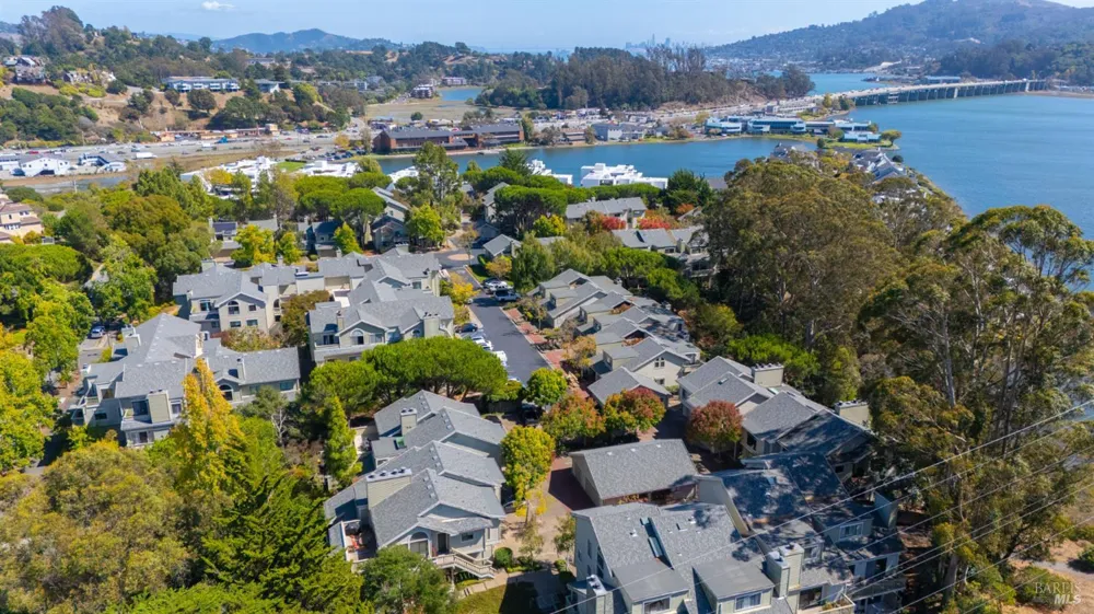 89 Eucalyptus Knoll Street Mill Valley, CA 94941