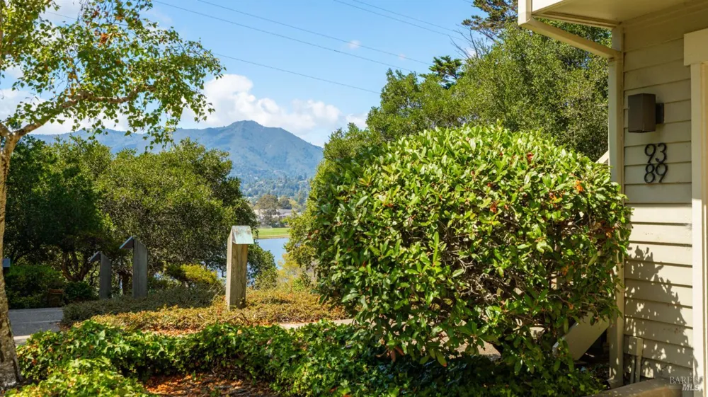 89 Eucalyptus Knoll Street Mill Valley, CA 94941