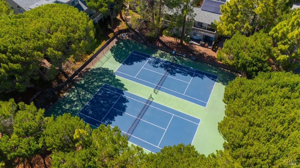 89 Eucalyptus Knoll Street Mill Valley, CA 94941