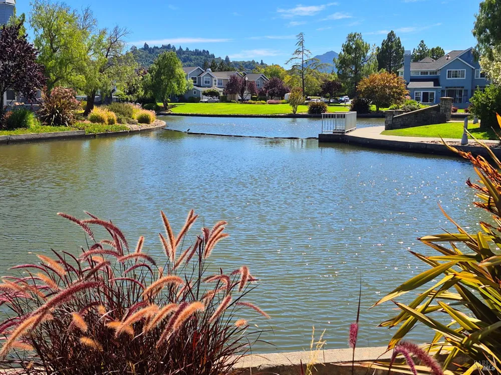 66 Mariners Circle San Rafael, CA 94903