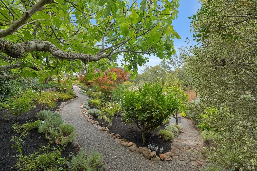 1811 Katie Lane Sonoma, CA 95476