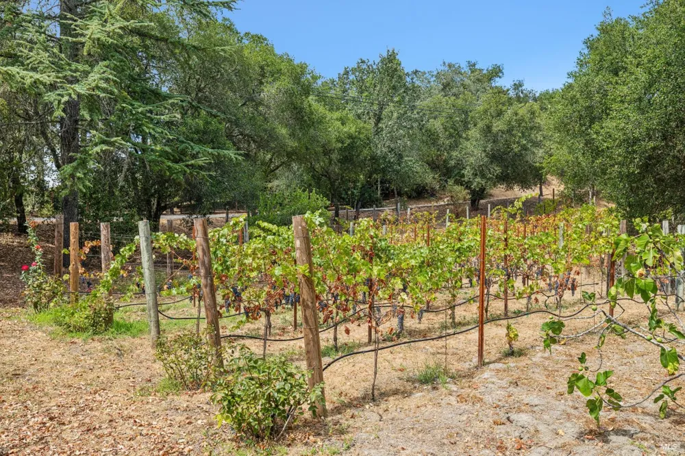 1811 Katie Lane Sonoma, CA 95476