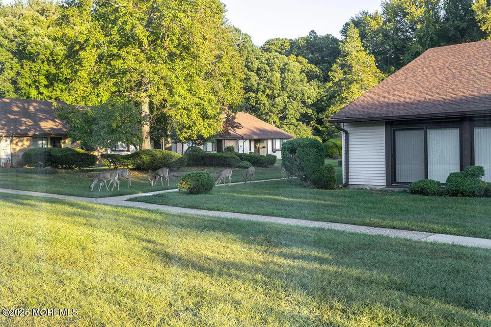 47 Wild Turkey Way #E Manalapan, NJ 07726