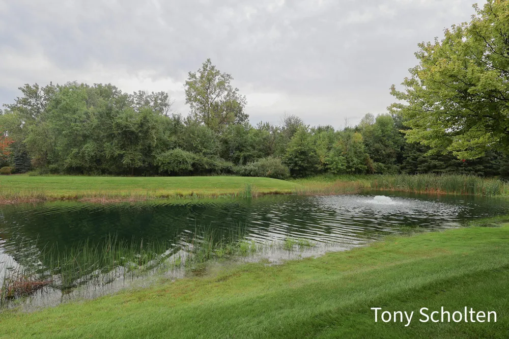 11589 Wilmington Drive Allendale, MI 49401