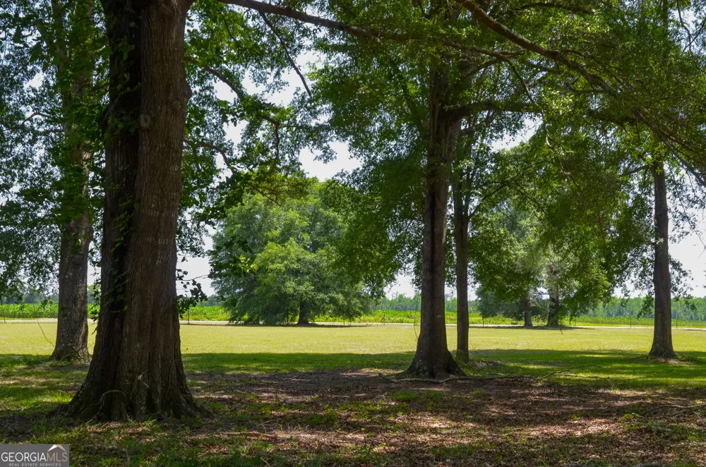 3947 Americus HWY Dawson, GA 39842