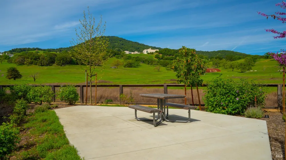 446 Verandah Avenue Novato, CA 94945