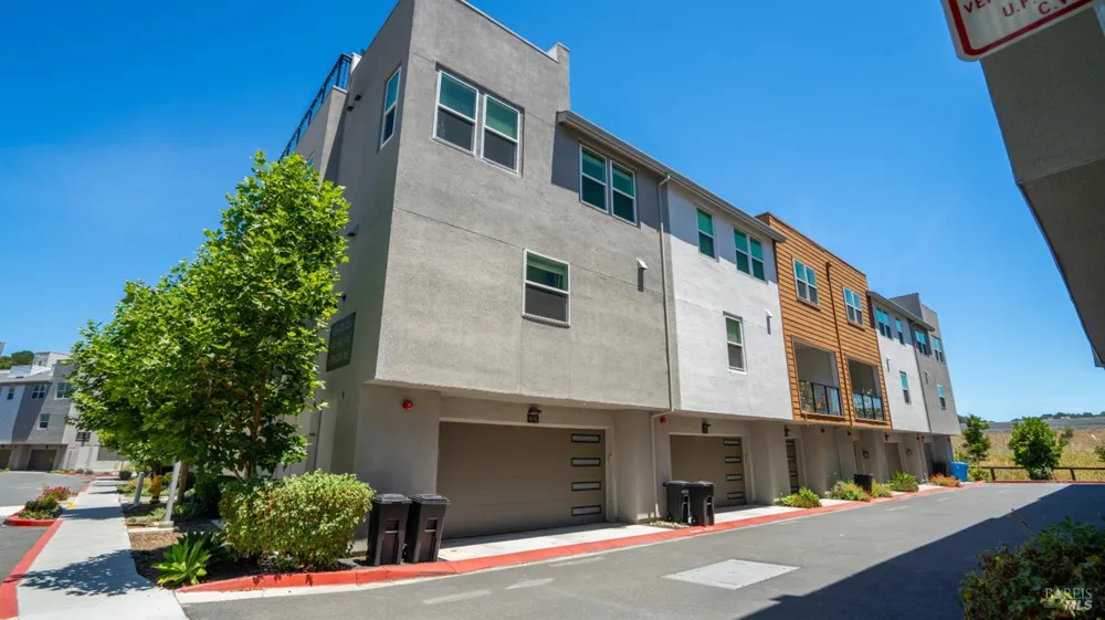 446 Verandah Avenue Novato, CA 94945