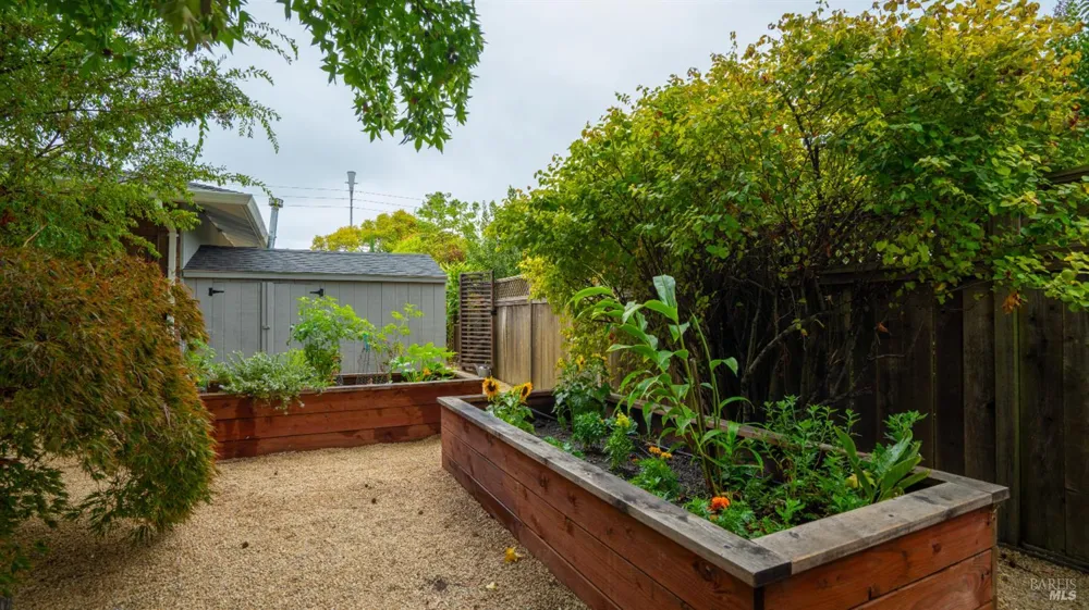 325 Point San Pedro Road San Rafael, CA 94901