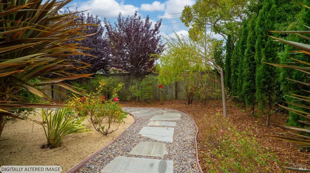 325 Point San Pedro Road San Rafael, CA 94901
