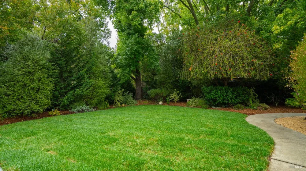 325 Point San Pedro Road San Rafael, CA 94901