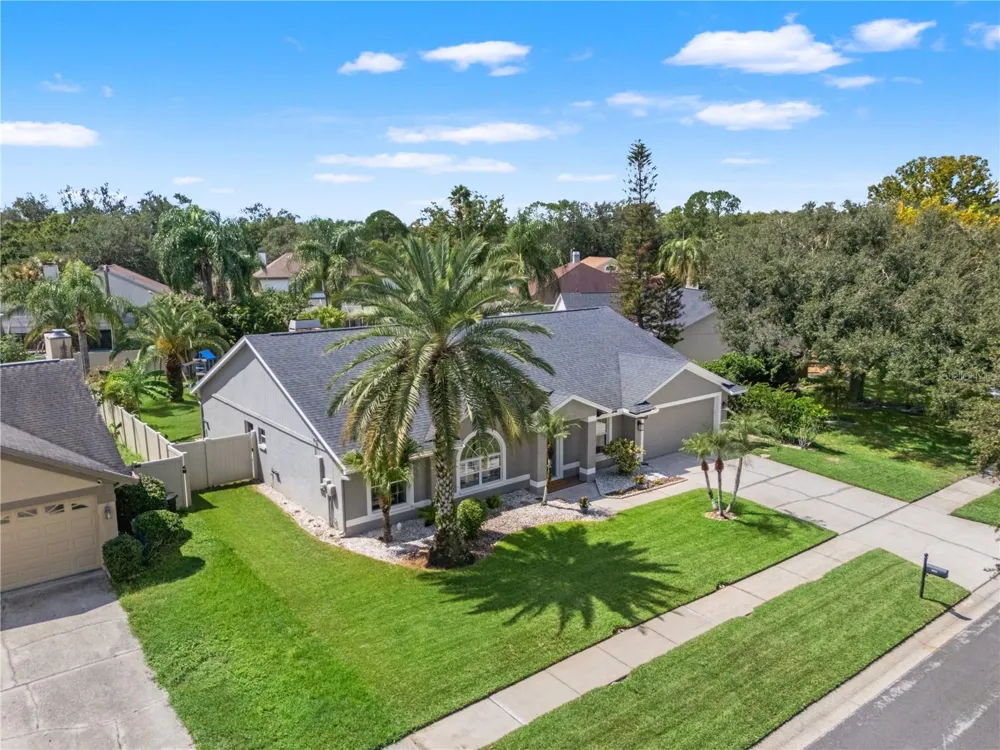 9211 MILL CIRCLE Tampa, FL 33647