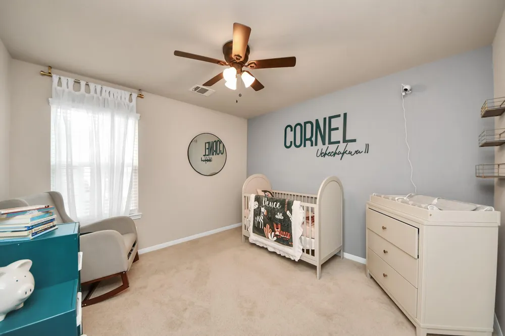 8402 Northern Pintail Drive Hockley, TX 77049