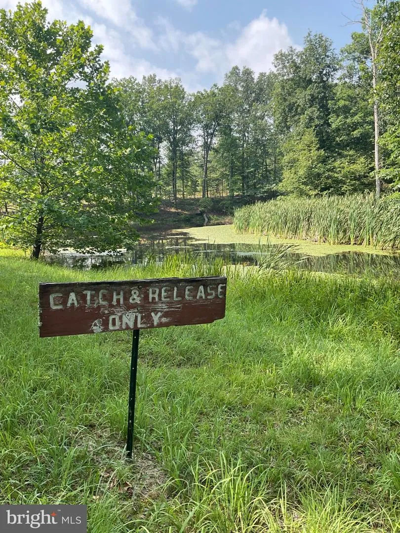 3065 KERNS SCHOOL ROAD Springfield, WV 26763