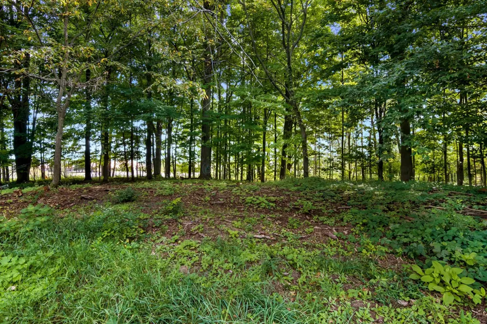 Birmley Road Garfield Charter Township, MI 49696