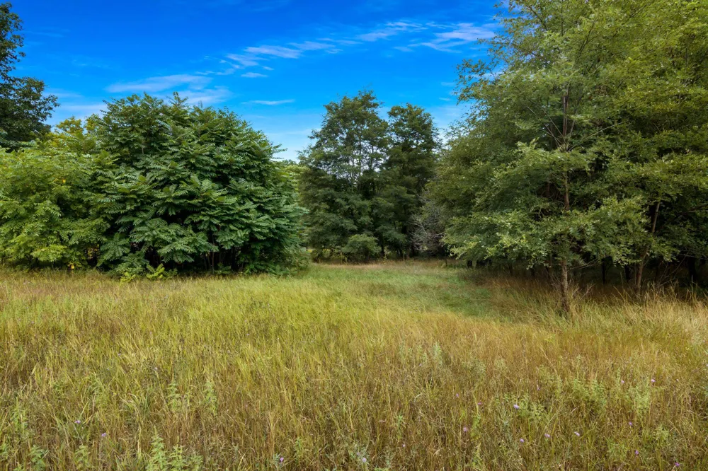 Birmley Road Garfield Charter Township, MI 49696