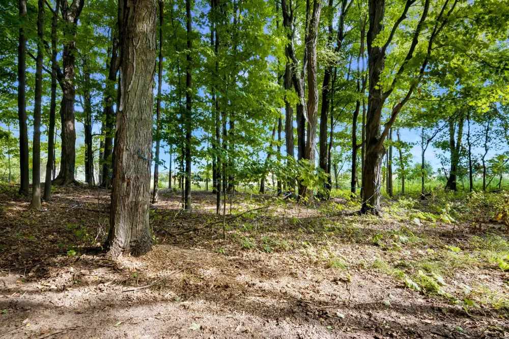 Birmley Road Garfield Charter Township, MI 49696